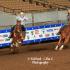 Tennessee Team Roping Championships